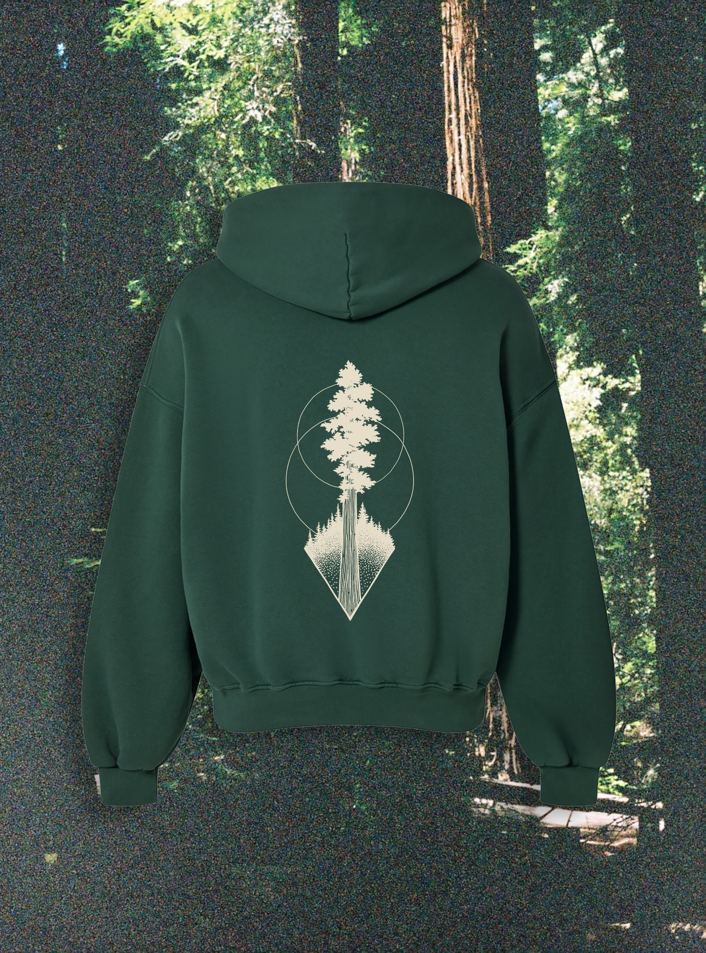 Sequoia Hoodie